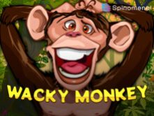 Wacky Monkey